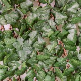 Sztuczny żywopłot - osłona bluszcz płotek 0,9x1,8m - GMLW 1 Grindi - 2