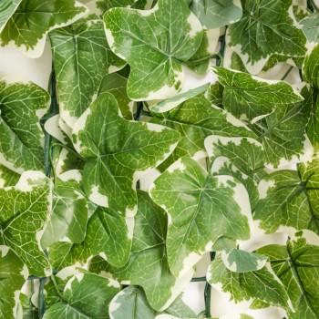 Sztuczny żywopłot - osłona bluszcz siatka 100cm - GMLS 2 Grindi - 2