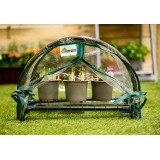 Miniszklarnia 43x27x31 - Lotus I Przezroczysta Grindi - 5