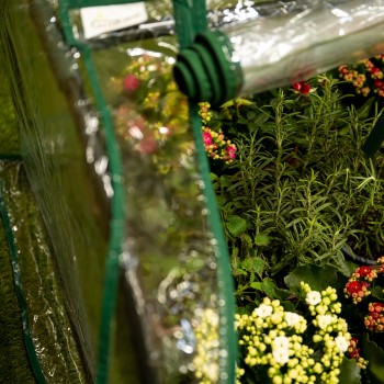 Szklarnia minitunel 2 komory - 130x60x50 - Erica I Grindi - 5