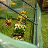 Mini szklarnia ogrodowa tunel 180x139 - Carina I Grindi - 3