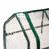 Tomaten Foliengewächshaus Treibhaus Pflanzenhaus - 124x42x92 - Aster V Grindi - 9