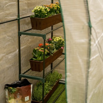 Szklarnia ogrodowa narożna biała - 100x200x215 - Cercis Grindi - 3