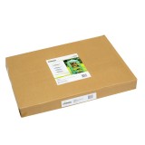 Szklarnia ogrodowa zielona 4-półkowa - 70x50x158 - Crocus II Grindi - 10