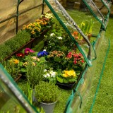 Szklarnia minitunel 3 komory - 270x92x92 - Erica II Grindi - 4