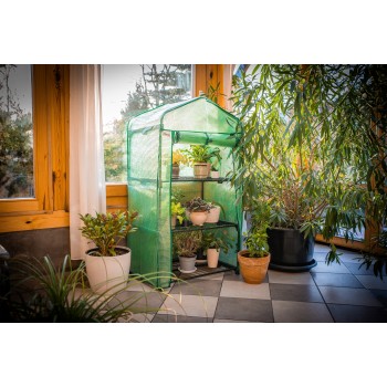 Szklarnia ogrodowa 3-półkowa - 70x50x158 - Crocus II zielona Grindi - 2