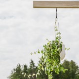 Hak wkręcany gumowany 145x67x7,5 - HGP 1 Domax Home - 2