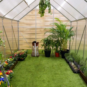 Szklarnia ogrodowa z poliwęglanu - Viola II - 250x190x195 GRINDI IN THE GARDEN - 12