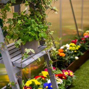 Szklarnia ogrodowa z poliwęglanu - Viola III - 310x190x195 GRINDI IN THE GARDEN - 5