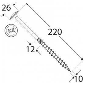 Wkręt ciesielski z łbem talerzowym 10mm - CT - karton DMX - 16