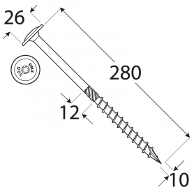 Wkręt ciesielski z łbem talerzowym 10mm - CT - karton DMX - 19