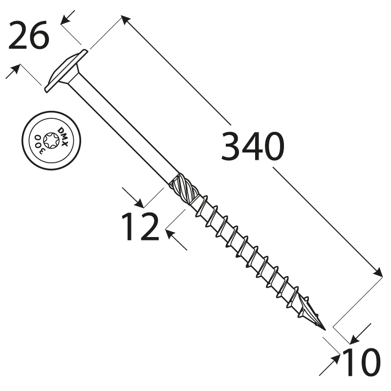 Wkręt ciesielski z łbem talerzowym 10mm - CT - karton DMX - 22