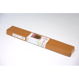 Szklarnia na pomidory przezroczysta - 50x100x150 - Aster I Grindi - 11