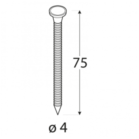 Gwoździe ciesielskie - ANCHOR - 1 kg - ANG DMX - 6